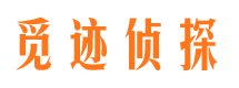 大丰市调查公司